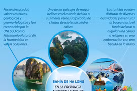Bahía de Ha Long y túneles de Cu Chi entre los destinos más atractivos en Sudeste Asiático