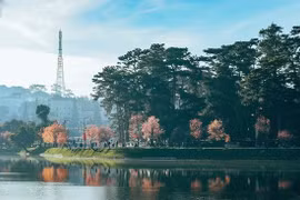 Da Lat honrada como ciudad de turismo limpio de la ASEAN 2022
