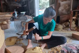 Hanoi busca promover turismo de agricultura y rural 