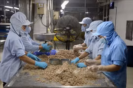 Provincia vietnamita de Kien Giang trabaja por aumentar ingresos de sus exportaciones