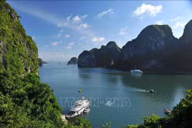 Vietnam recibe a 12,6 millones de turistas extranjeros en 2023