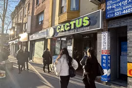 La tienda presenta los productos de café vietnamita de Cactus en un barrio central de Toronto, Canadá. (Fuente: baotintuc.vn)