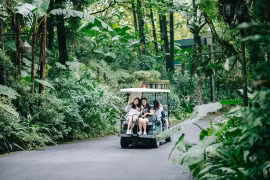 Los turistas disfrutan de actividades turísticas durante su estancia en el resort Meliá Ba Vi. (Fuente: hanoimoi.com.vn)