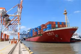 Un barco atraca en el puerto de Tan Cang-Cai Mep Thi Vai, en la ciudad de Phu My (provincia de Ba Ria-Vung Tau). (Fuente: VNA)