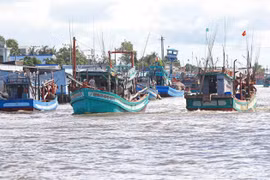 La provincia de Ca Mau ha implementado el uso de software de gestión integrada para controlar los buques pesqueros que entran y salen del puerto marítimo, que deben ser controlados por el puerto pesquero, la oficina INDNR y la estación de guardia fronteriza. Foto: Huynh Anh – VNA