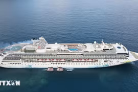 El crucero Resorts World One lleva a más de dos mil turistas internacionales a la isla de Con Dao. (Fuente: VNA)