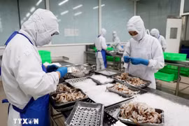 Foto de ilustración. Procesamiento de productos del mar para exportación en la compañía COFIDEC, Ciudad Ho Chi Minh. (Fuente: VNA)