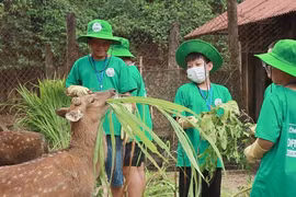 Los jóvenes participan en el campamento de verano Cuc Phuong 2024 en el Parque Nacional Cuc Phuong. (Fuente: VNA)