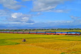 Se espera que la industria ferroviaria experimente muchos desarrollos de infraestructura y cambios en los modelos de producción y negocios. (Foto: Vietnam+)