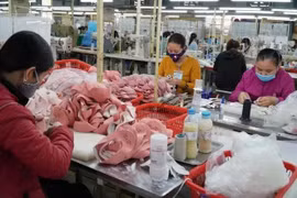 Un paso en la producción de calzado para exportación. (Fuente: VNA)