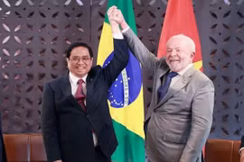 Vínculos integrales entre Vietnam y Brasil van por buen camino, asegura embajador