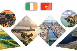 Relaciones de amistad y cooperación Vietnam - Irlanda 