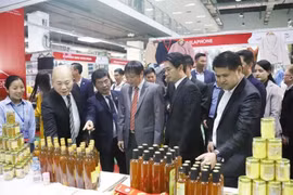 Los delegados visitan un stand en la Feria Comercial Vietnam-Laos 2024, organizada en la capital de Vientiane el mes pasado (Fuente: VNA) 