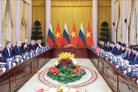 En las conversaciones entre el presidente de Vietnam, Luong Cuong y su homólogo de Bulgaria, Rumen Radev (Fuente: VNA)