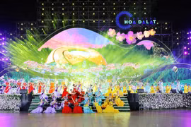Efectuarán Festival de las Flores de Da Lat en diciembre (Fuente: internet)