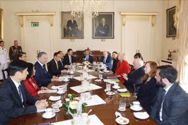 En las conversaciones entre el secretario general del Partido Comunista y presidente de Vietnam, To Lam, y el presidente de Irlanda, Michael Higgins (Fuente: VNA)