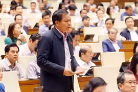 El diputado Luu Van Duc de la provincia de Dak Lak hace preguntas en el octavo período de sesiones de la Asamblea Nacional de la XV legislatura. (Fuente: VNA)