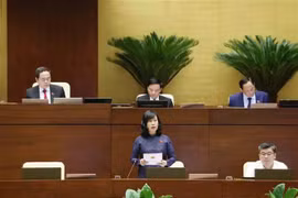 La ministra de Salud de Vietnam, Dao Hong Lan, responde a las preguntas de los diputados (Fuente: VNA)