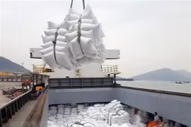 Vietnam, mayor exportador de arroz a Singapur (Fuente: VNA)