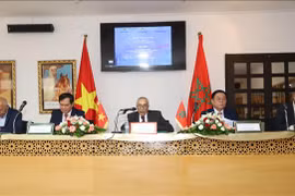 En el seminario sobre el Presidente Ho Chi Minh y el movimiento de liberación nacional en África y las relaciones Vietnam-Marruecos (Fuente: VNA)