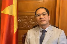 El embajador de Vietnam en Bulgaria, Do Hoang Long (Fuente: VNA)
