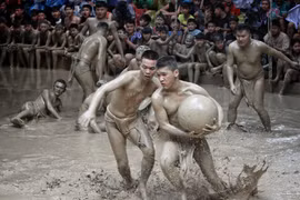  Impresionante Festival de lucha acuática de pelota en Bac Giang