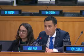 Dang Hoang Giang, jefe de la misión permanente de Vietnam ante la ONU, pronuncia un discurso en la reunión (Fuente: VNA)