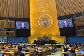 El embajador Dang Hoang Giang pronuncia su discurso en la sesión de debate. (Fuente: VNA) 