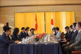 En la XII reunión del Comité de Cooperación entre Vietnam y Japón (Fuente: VNA)