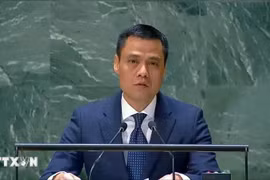 El embajador Dang Hoang Giang, jefe de la misión peramente de Vietnam en la ONU (Fuente: VNA)