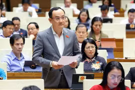 El diputado de la provincia de Hai Duong, Nguyen Ngoc Son (Fuente: VNA)