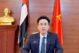 El embajador de Vietnam en EAU, Nguyen Thanh Diep. (Fuente: VNA)