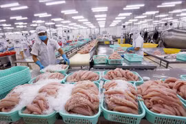 El pescado tra para la exportsción (Fuente: VNA)