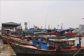 Barcos pesqueros de la provincia de Tra Vinh (Fuente: VNA)