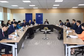 En la sesión de trabajo entre la ministra Pham Thi Thanh Tra y el Instituto Nacional de Desarrollo de Recursos Humanos (NHI) (Fuente: VNA)