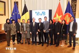 El embajador de Hanoi en Bélgica, Nguyen Van Thao (sexto de la izquierda) y los miembros de la Junta directiva de la VBAB (Fuente: VNA)