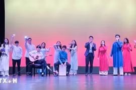 Una actuación en el Día de la Cultura de Vietnam 2024, celebrado en Wellington, la capital de Nueva Zelanda. (Foto: VNA)