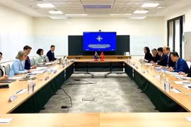En la sesión de trabajo entre el Ministerio de Ciencia y Tecnología de Vietnam y el Ministerio de Industria, Ciencia y Recursos Naturales de Australia (Fuente: VNA) 