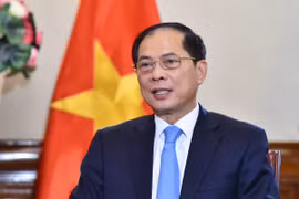 El viceprimer ministro y canciller vietnamita, Bui Thanh Son (Fuente: VNA)