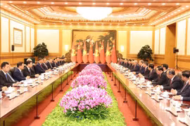 En la conversación entre el secretario general del Partido Comunista de Vietnam y presidente del país, To Lam y su homólgo Xi Jinping (Fuente: VNA)