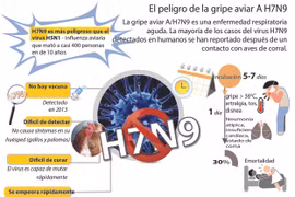 [Infografia] Gripe aviar A/H7N9