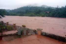 [Fotos] Inundaciones causan grandes pérdidas en Vietnam