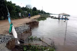 Delta del Mekong encara alto riesgo de erosión 