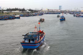 [Fotos] Vietnam realiza labores preventivas ante la llegada del poderoso tifón Doksuri