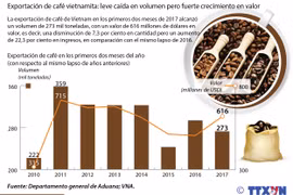 Fuerte crecimiento del valor de exportación de café vietnamita
