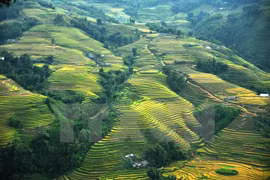 Sapa y Fansipan entre los 10 mejores lugares para hacer senderismo en el Sudeste Asiático 