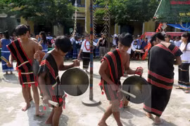 Dispuesta Altiplanicie Occidental vietnamita a acoger festivales de café y gongs