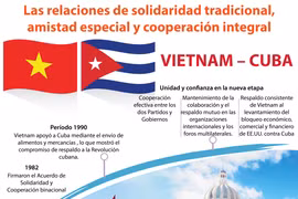 [Infografía] Relaciones de solidaridad tradicional, amistad especial y cooperación integral Vietnam-Cuba