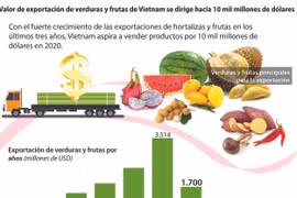 [Info] Valor de exportación de verduras y frutas de Vietnam se dirige hacia 10 mil millones de dólares