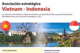 [Infografía] Asociación estratégica Vietnam - Indonesia